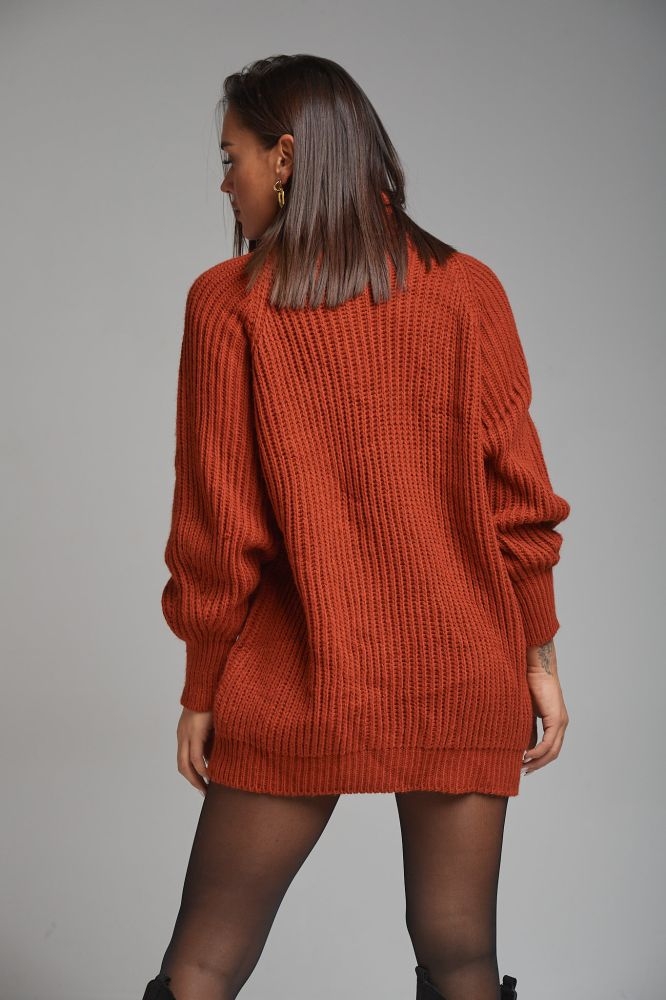 Knitted Dress With Turtle Neck