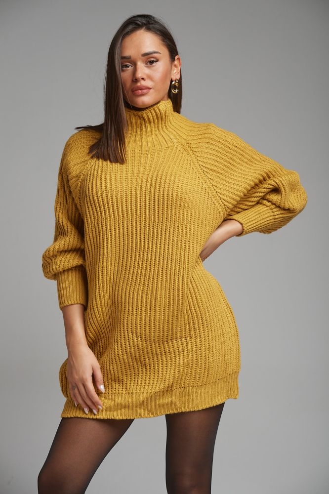 Knitted Dress With Turtle Neck