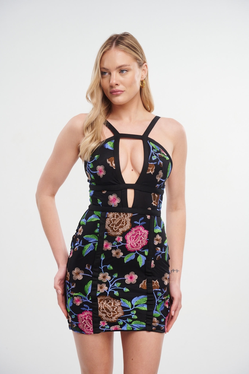 Mini Dress With Embroidered Flowers